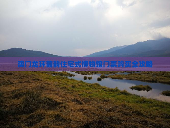 澳门龙环葡韵住宅式博物馆门票购买全攻略