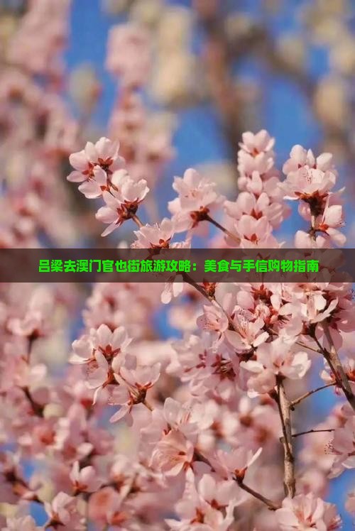 吕梁去澳门官也街旅游攻略：美食与手信购物指南