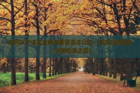如何从宁波出发畅游香港海洋公园：解决交通难题，享受刺激之旅？
