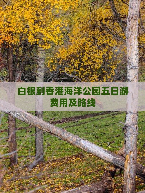 白银到香港海洋公园五日游费用及路线