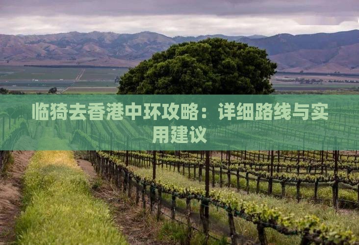 临猗去香港中环攻略：详细路线与实用建议