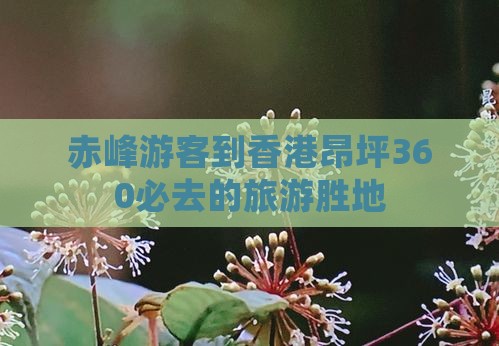 赤峰游客到香港昂坪360必去的旅游胜地