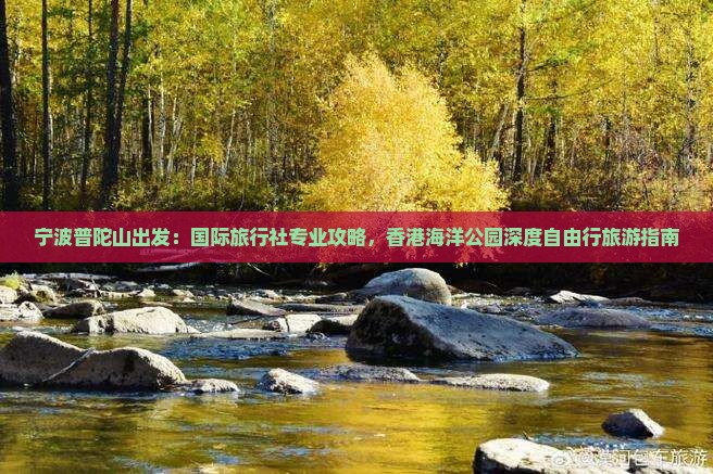 宁波普陀山出发：国际旅行社专业攻略，香港海洋公园深度自由行旅游指南