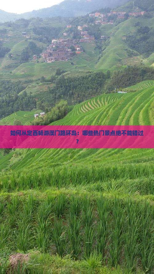 如何从定西畅游澳门路环岛：哪些热门景点绝不能错过？