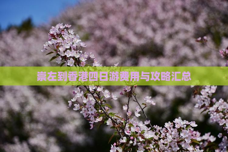 崇左到香港四日游费用与攻略汇总