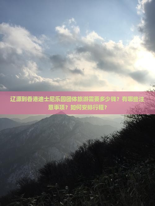 辽源到香港迪士尼乐园团体旅游需要多少钱？有哪些注意事项？如何安排行程？