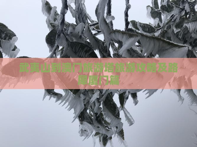 武夷山到澳门旅游塔旅游攻略及路犀厦门篇