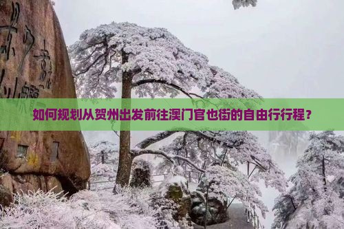 如何规划从贺州出发前往澳门官也街的自由行行程？