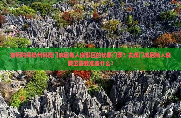 如何购买扬州到澳门威尼斯人度假区的优惠门票？去澳门威尼斯人度假区需要准备什么？