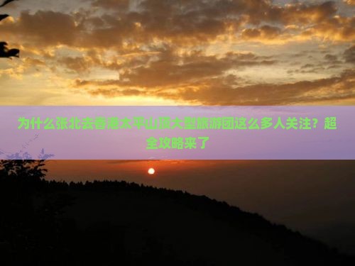 为什么张北去香港太平山顶大型旅游团这么多人关注？超全攻略来了