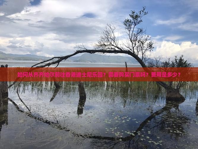 如何从齐齐哈尔前往香港迪士尼乐园？需要购买门票吗？费用是多少？
