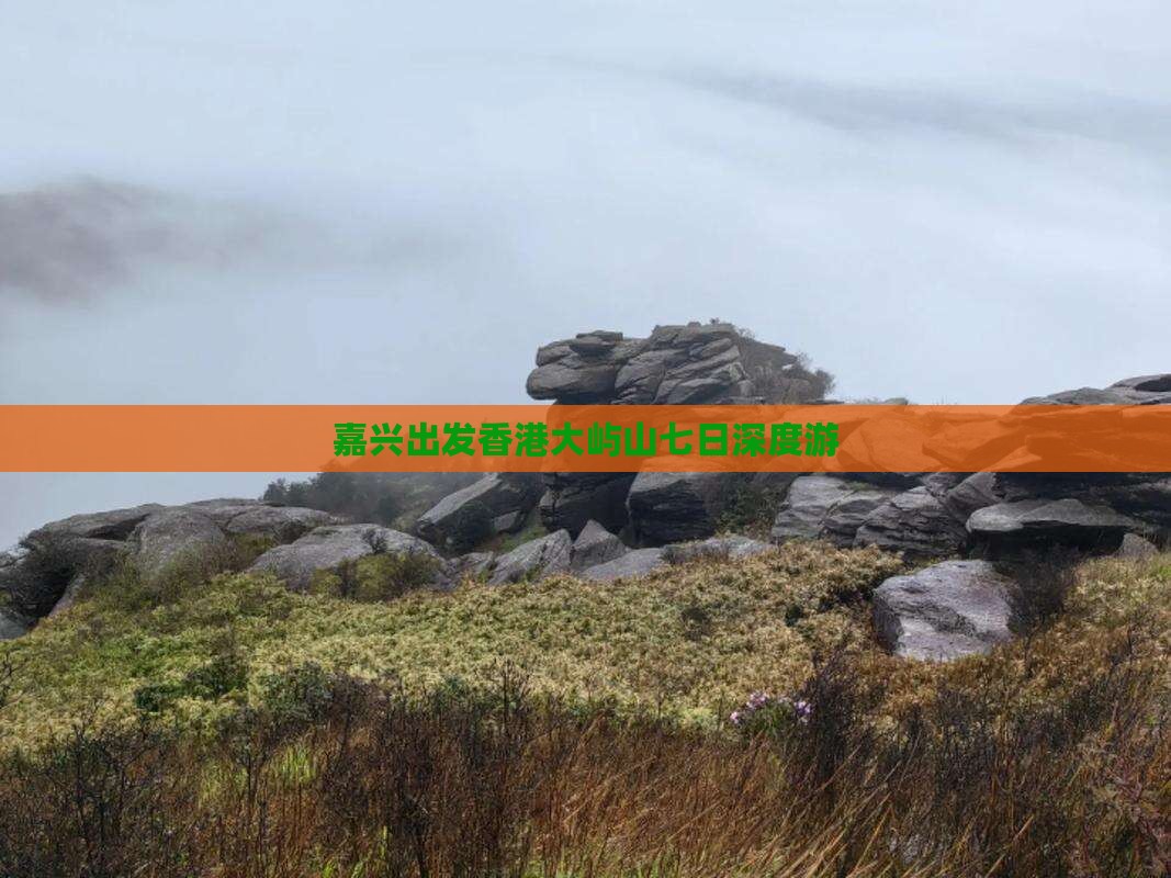嘉兴出发香港大屿山七日深度游