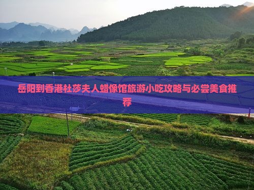 岳阳到香港杜莎夫人蜡像馆旅游小吃攻略与必尝美食推荐