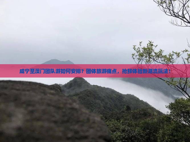 咸宁至澳门团队游如何安排？团体旅游痛点，抢鲜体验新潮流玩法！