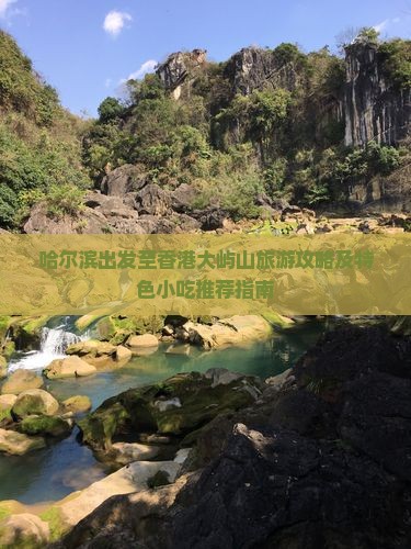 哈尔滨出发至香港大屿山旅游攻略及特色小吃推荐指南