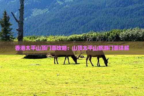 香港太平山顶门票攻略：山顶太平山旅游门票详解