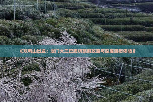 《双鸭山出发：澳门大三巴牌坊旅游攻略与深度游历体验》
