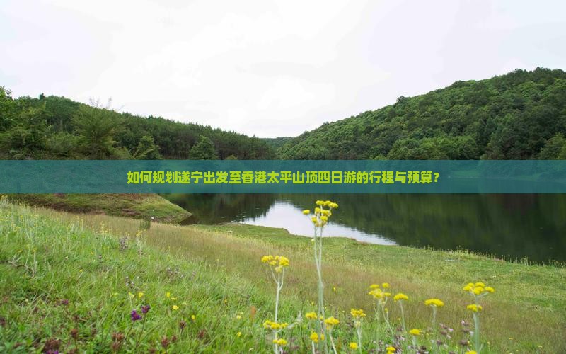 如何规划遂宁出发至香港太平山顶四日游的行程与预算？