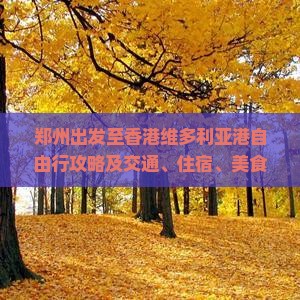 郑州出发至香港维多利亚港自由行攻略及交通、住宿、美食推荐指南