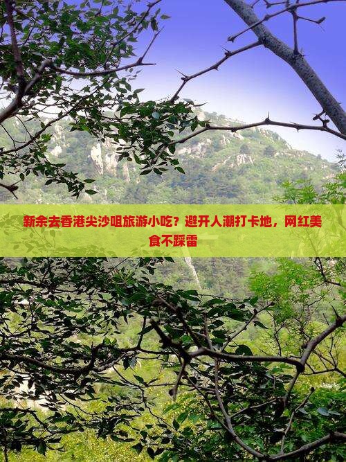新余去香港尖沙咀旅游小吃？避开人潮打卡地，网红美食不踩雷