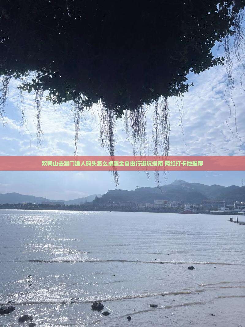 双鸭山去澳门渔人码头怎么卓超全自由行避坑指南+网红打卡地推荐
