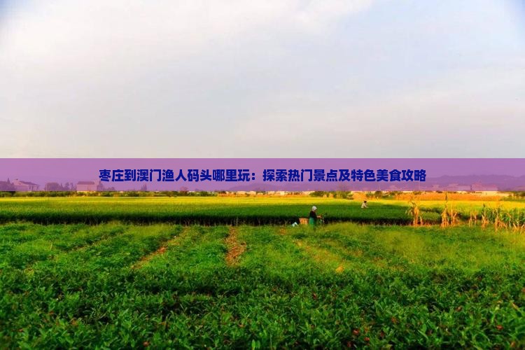 枣庄到澳门渔人码头哪里玩：探索热门景点及特色美食攻略