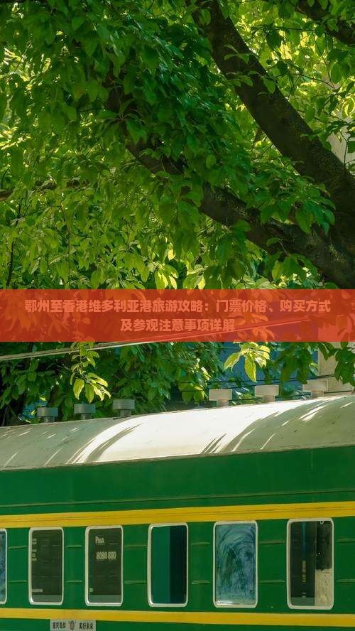 鄂州至香港维多利亚港旅游攻略：门票价格、购买方式及参观注意事项详解