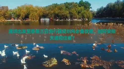 潍坊出发至香港三日游行程规划与必备攻略，如何安排交通和住宿？