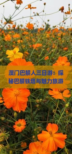 澳门巴黎人三日游：探秘巴黎铁塔与魅力旅游胜地