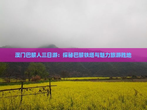 澳门巴黎人三日游：探秘巴黎铁塔与魅力旅游胜地