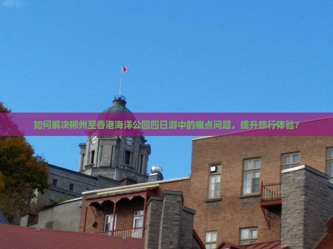 如何解决郴州至香港海洋公园四日游中的痛点问题，提升旅行体验？