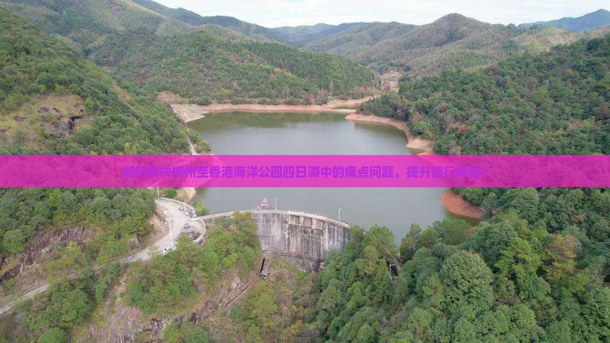 如何解决郴州至香港海洋公园四日游中的痛点问题，提升旅行体验？