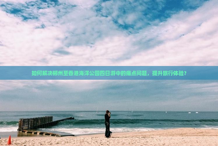 如何解决郴州至香港海洋公园四日游中的痛点问题，提升旅行体验？