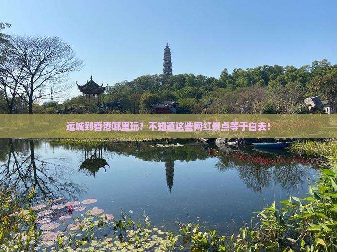 运城到香港哪里玩？不知道这些网红景点等于白去！