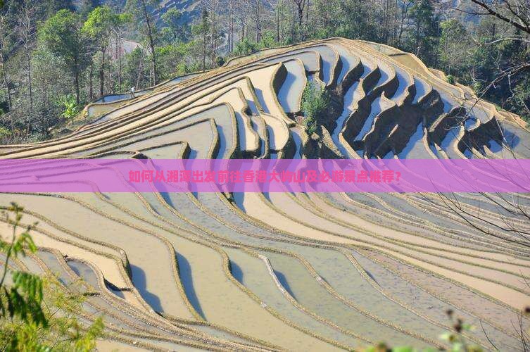 如何从湘潭出发前往香港大屿山及必游景点推荐？