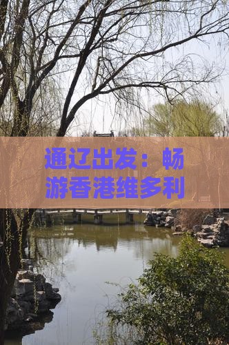 通辽出发：畅游香港维多利亚港必去景点指南