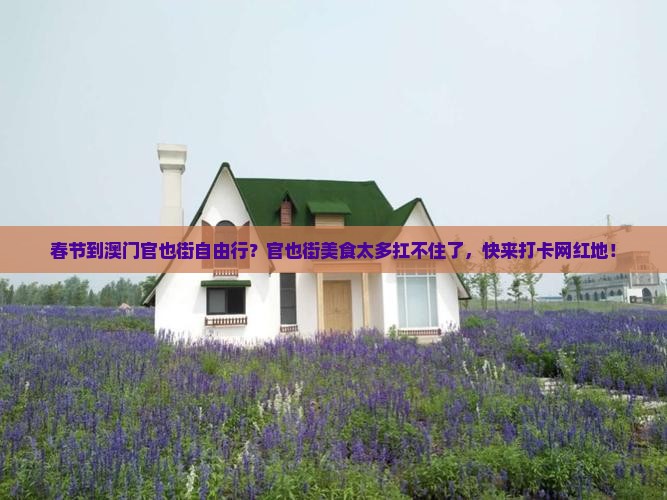 春节到澳门官也街自由行？官也街美食太多扛不住了，快来打卡网红地！