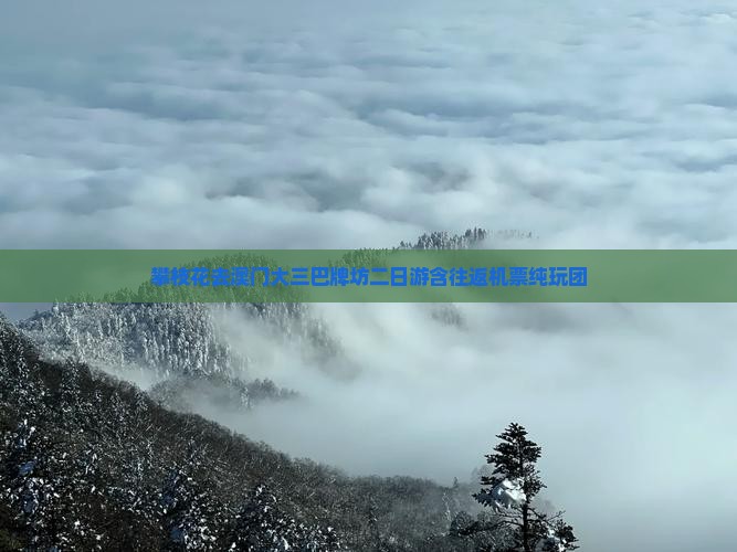 攀枝花去澳门大三巴牌坊二日游含往返机票纯玩团