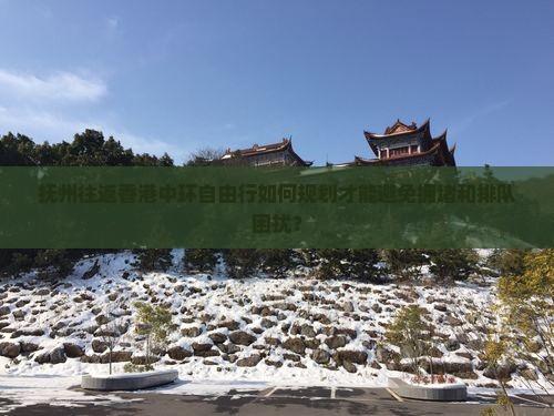 抚州往返香港中环自由行如何规划才能避免拥堵和排队困扰？