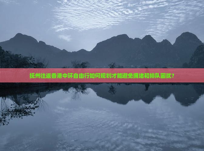 抚州往返香港中环自由行如何规划才能避免拥堵和排队困扰？