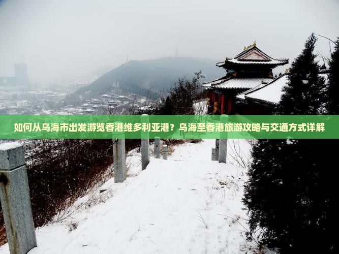 如何从乌海市出发游览香港维多利亚港？乌海至香港旅游攻略与交通方式详解