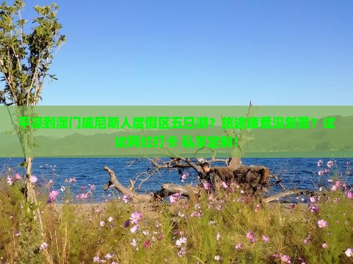 平凉到澳门威尼斯人度假区五日游？旅途疲惫没新意？试试网红打卡+私享定制！