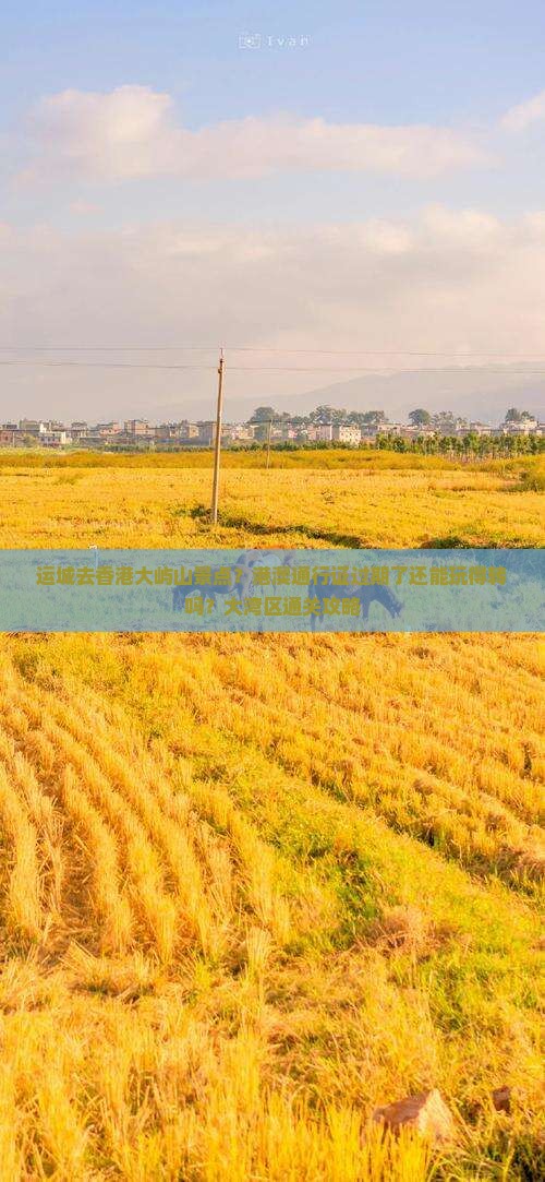 运城去香港大屿山景点？港澳通行证过期了还能玩得转吗？大湾区通关攻略