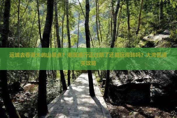 运城去香港大屿山景点？港澳通行证过期了还能玩得转吗？大湾区通关攻略