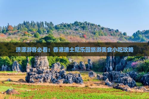 济源游客必看：香港迪士尼乐园旅游美食小吃攻略