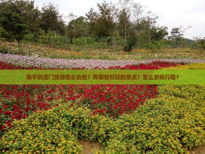 南平到澳门旅游塔必去地？有哪些好玩的景点？怎么安排行程？