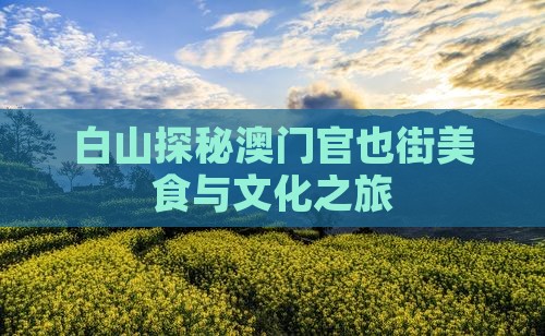白山探秘澳门官也街美食与文化之旅