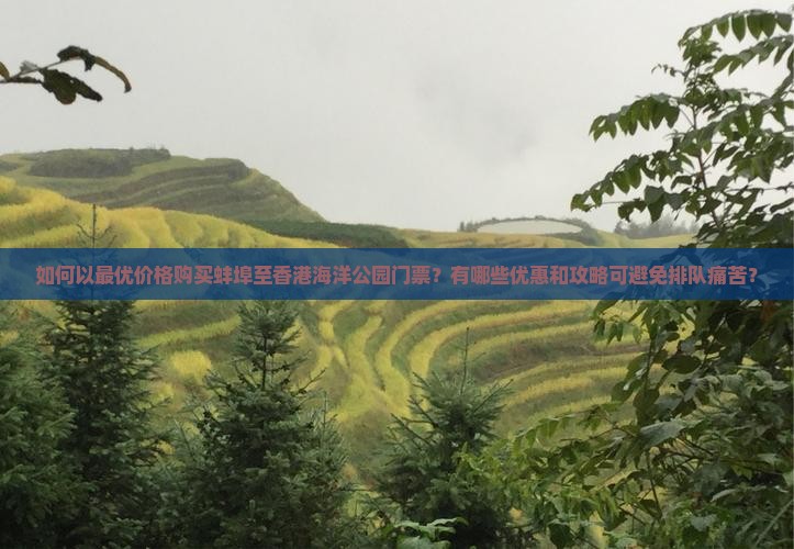 如何以最优价格购买蚌埠至香港海洋公园门票？有哪些优惠和攻略可避免排队痛苦？