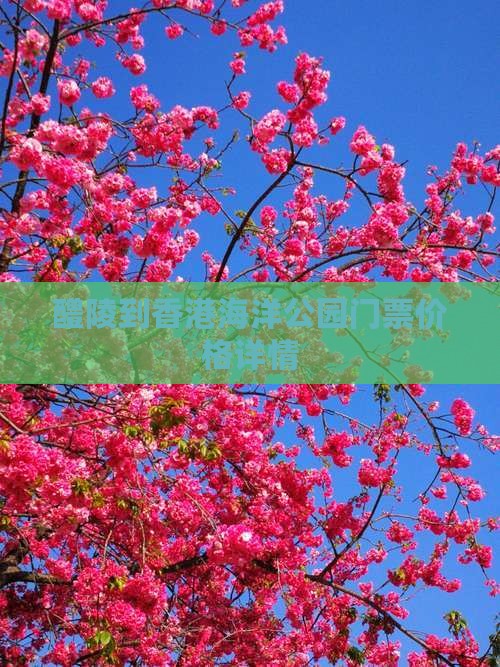 醴陵到香港海洋公园门票价格详情