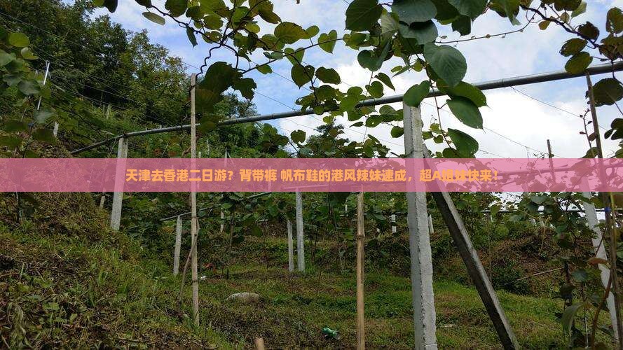 天津去香港二日游？背带裤+帆布鞋的港风辣妹速成，超A姐妹快来！